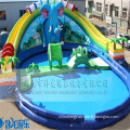 Amusement park usage giant adult super Inflatable double lane water slide with Pool